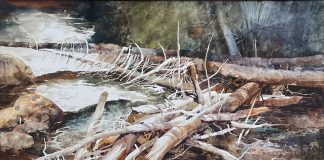 Irving Shapiro Canyon Filigree stream brook river beaver dam watercolor landscape painting