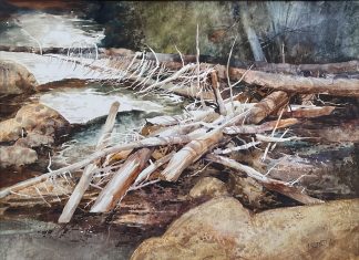 Irving Shapiro Canyon Filigree stream brook river beaver dam watercolor landscape painting