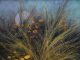 Jackson Hensley Kissing The Moon flowers brush landscape oil painting