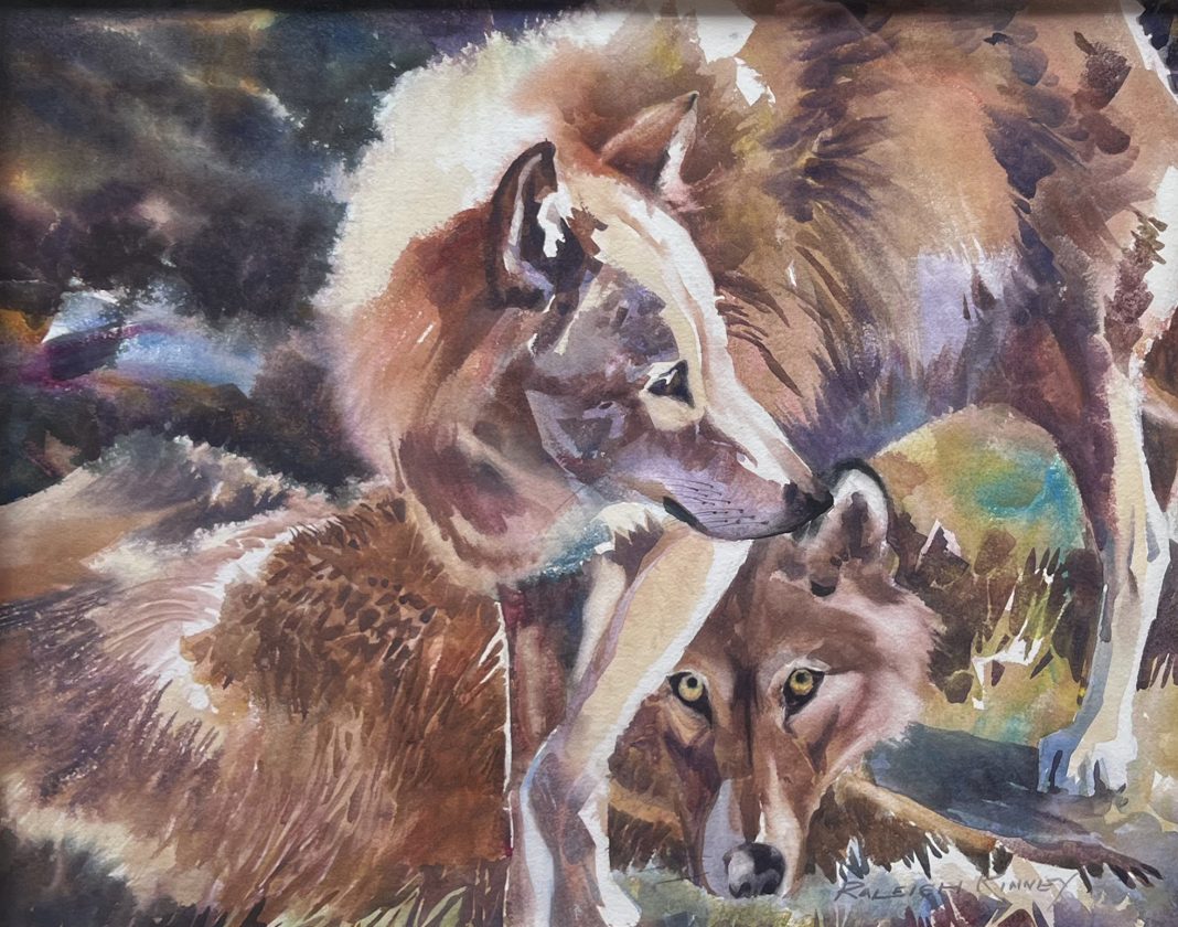 Raleigh Kinney Playmates wolf wolves wildlife watercolor painting