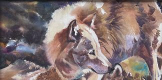 Raleigh Kinney Playmates wolf wolves wildlife watercolor painting