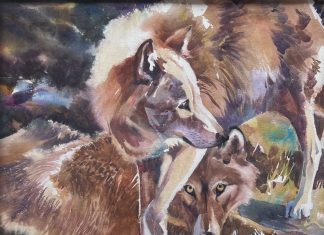 Raleigh Kinney Playmates wolf wolves wildlife watercolor painting