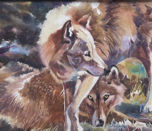 Raleigh Kinney Playmates wolf wolves wildlife watercolor painting