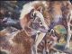 Raleigh Kinney Playmates wolf wolves wildlife watercolor painting