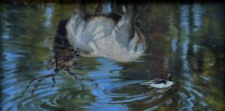 Rogue Simpson Passing Fancy elk duck drake wildlife oil painting