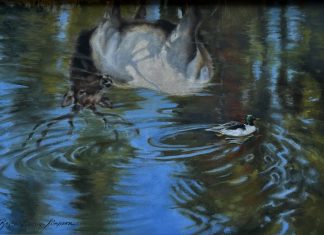 Rogue Simpson Passing Fancy elk duck drake wildlife oil painting