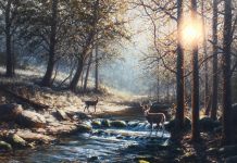 Dennis Schmidt Out of the shadows deer elk wildlife oil painting brook river stream forest wilderness