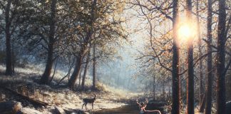 Dennis Schmidt Out of the shadows deer elk wildlife oil painting brook river stream forest wilderness