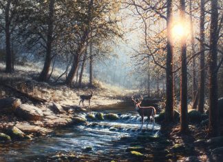 Dennis Schmidt Out of the shadows deer elk wildlife oil painting brook river stream forest wilderness