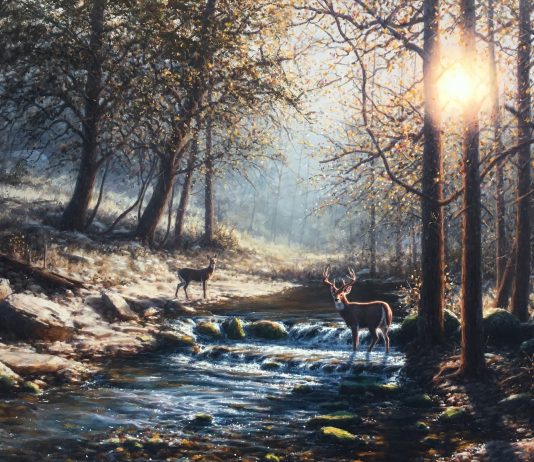 Dennis Schmidt Out of the shadows deer elk wildlife oil painting brook river stream forest wilderness