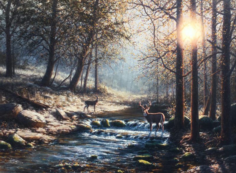 Dennis Schmidt Out of the shadows deer elk wildlife oil painting brook river stream forest wilderness