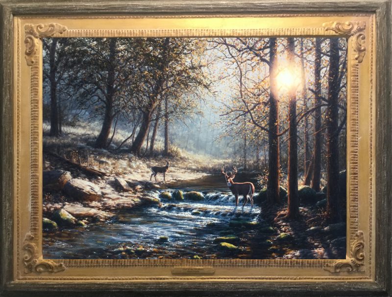 Dennis Schmidt Out of the shadows deer elk wildlife oil painting brook river stream forest wilderness framed