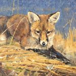 Luke Frazier The Attentive One fox butterfly wildlife oil painting
