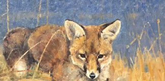 Luke Frazier The Attentive One fox butterfly wildlife oil painting