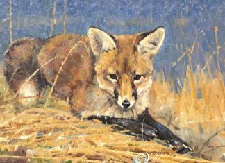 Luke Frazier The Attentive One fox butterfly wildlife oil painting