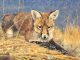Luke Frazier Luke Frazier The Attentive One fox butterfly wildlife oil painting