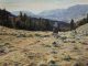 Laurie Lee Riding Home cowboy horse western oil painting landscape mountain prairie