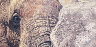 Lindsay Scott Elephant Child wildlife oil painting