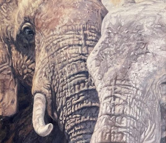 Lindsay Scott Elephant Child wildlife oil painting