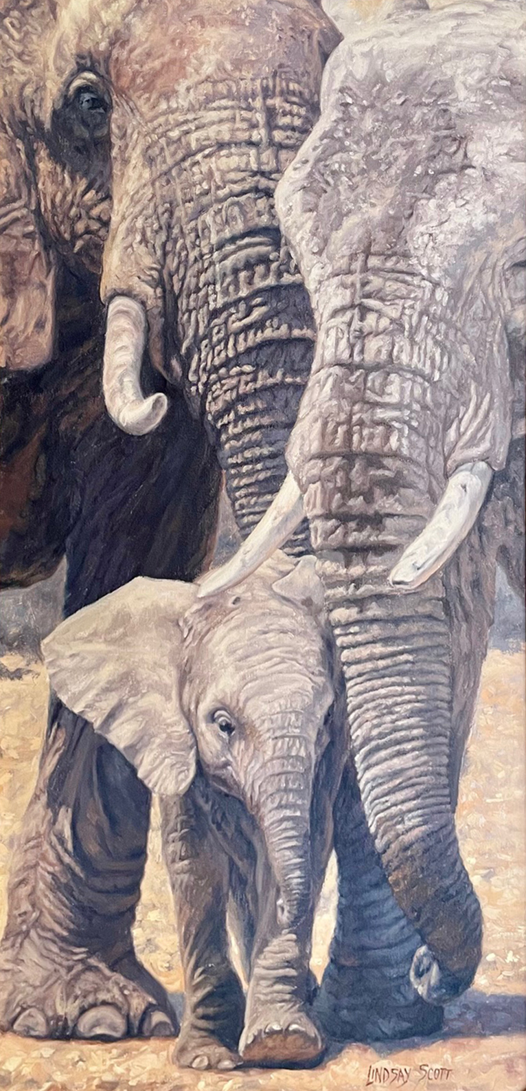 Lindsay-Scott_Elephant-Child Lindsay Scott Elephant Child wildlife oil painting
