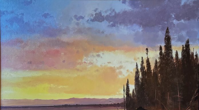 Michael Coleman Black Bear Family lake wildlife oil painting sunset sunrise wilderness forest trees