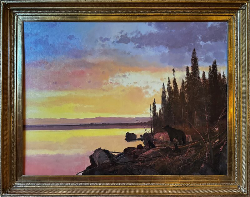 Michael Coleman Black Bear Family lake wildlife oil painting sunset sunrise wilderness forest trees framed