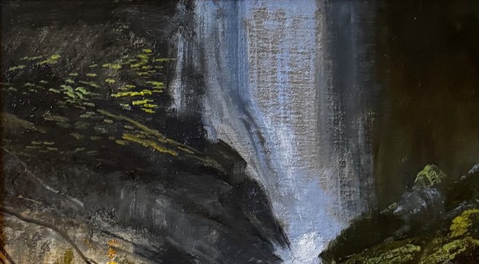 Michael Coleman Waterfall wilderness forest landscape oil painting