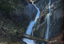 Michael Coleman "Tibble Fork Falls" wilderness forest stream river landscape oil painting