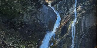 “Tibble Fork Falls” Michael Coleman Michael Coleman "Tibble Fork Falls" wilderness forest stream river landscape oil painting