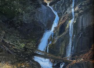 Michael Coleman "Tibble Fork Falls" wilderness forest stream river landscape oil painting