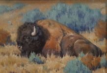 Keith Huey Bison Repose buffalo wildlife oil painting wilderness forest