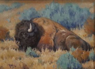 Keith Huey Bison Repose buffalo wildlife oil painting wilderness forest
