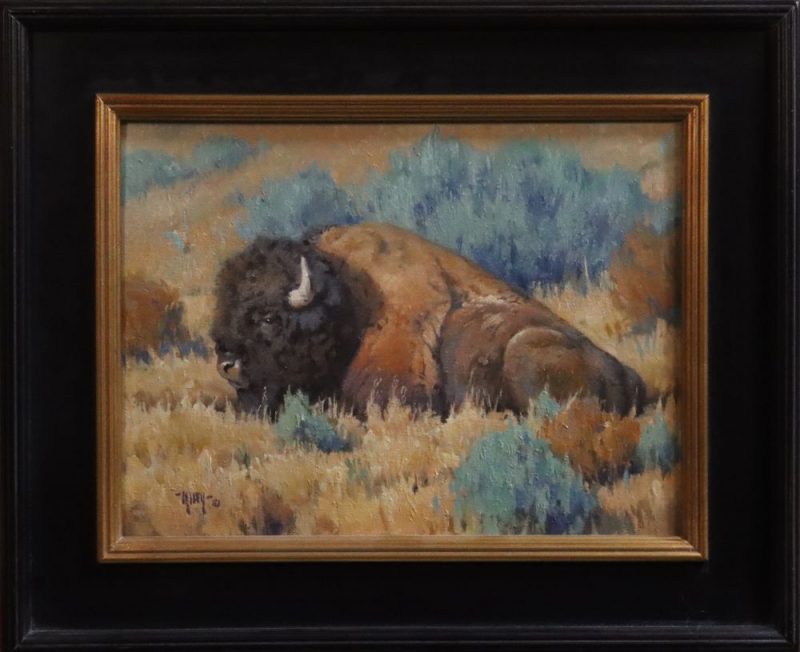 Keith Huey Bison Repose buffalo wildlife oil painting wilderness forest framed